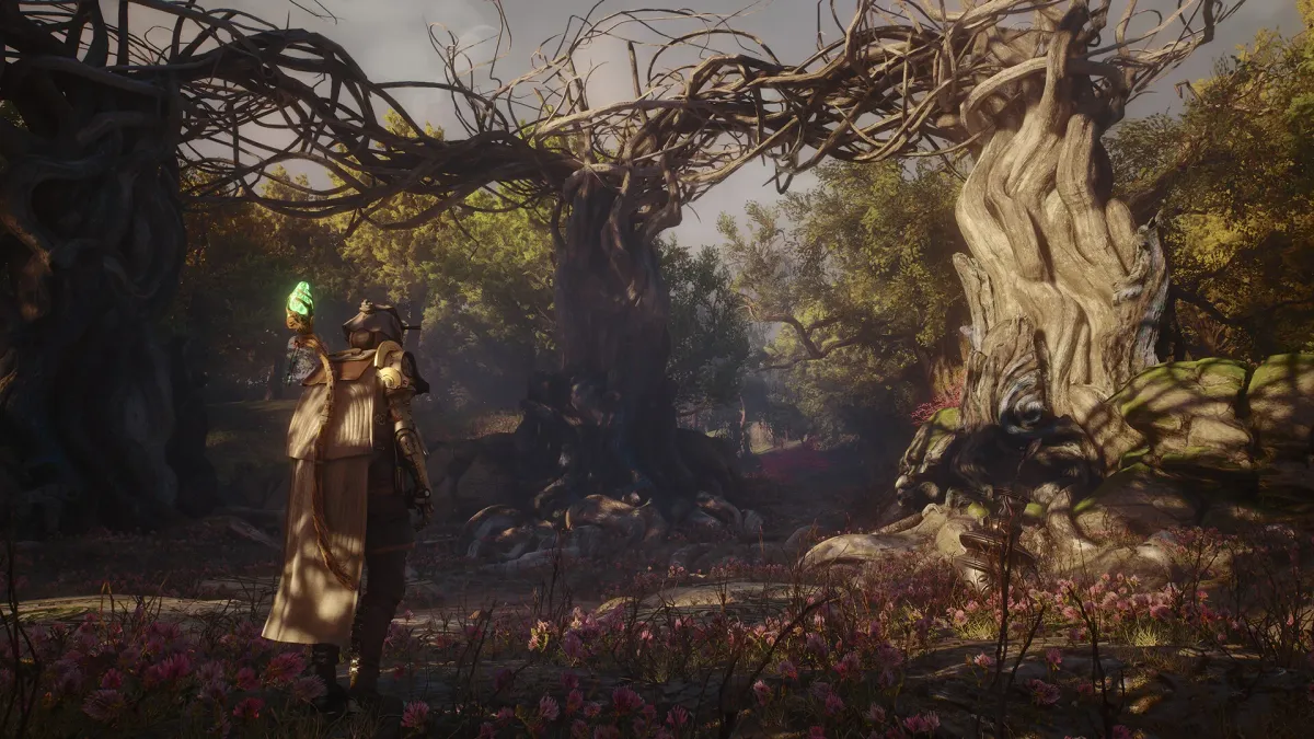 Captura de Soulframe