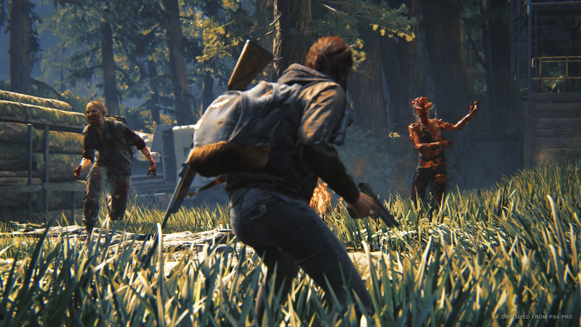 Captura de pantalla del mod multijugador de The Last of Us Part 2